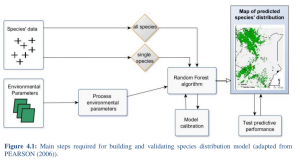 BSc_Rudolph_workflow