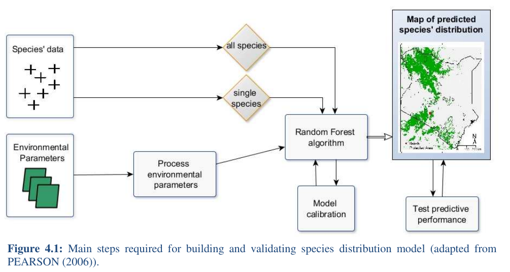 distribution thesis