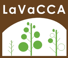 LAVACCA_Project