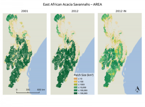 AsjaBernd_MSc_GlobalChangeEcology_org_2015_resizedeast_africa_af_area