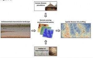 walz_vector_parasites_figure1